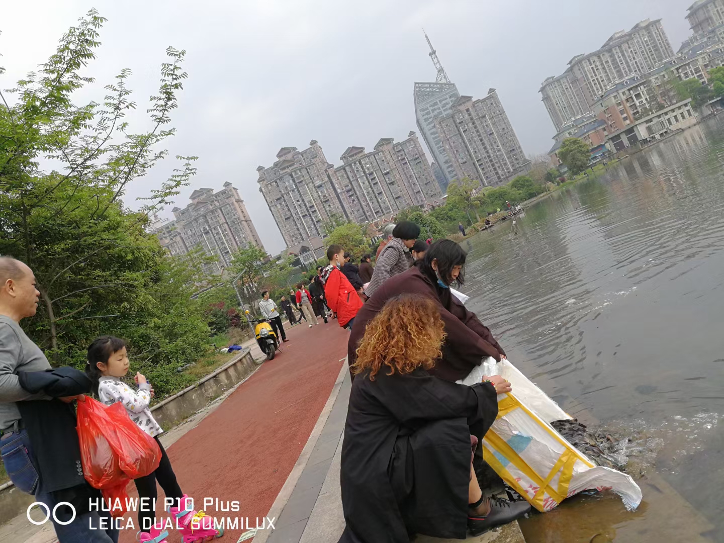 顺发2468准提菩萨圣诞日法会通启